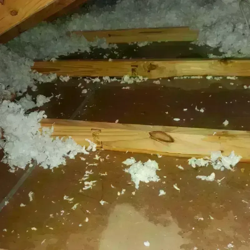 Attic Water Damage in Enetai, WA