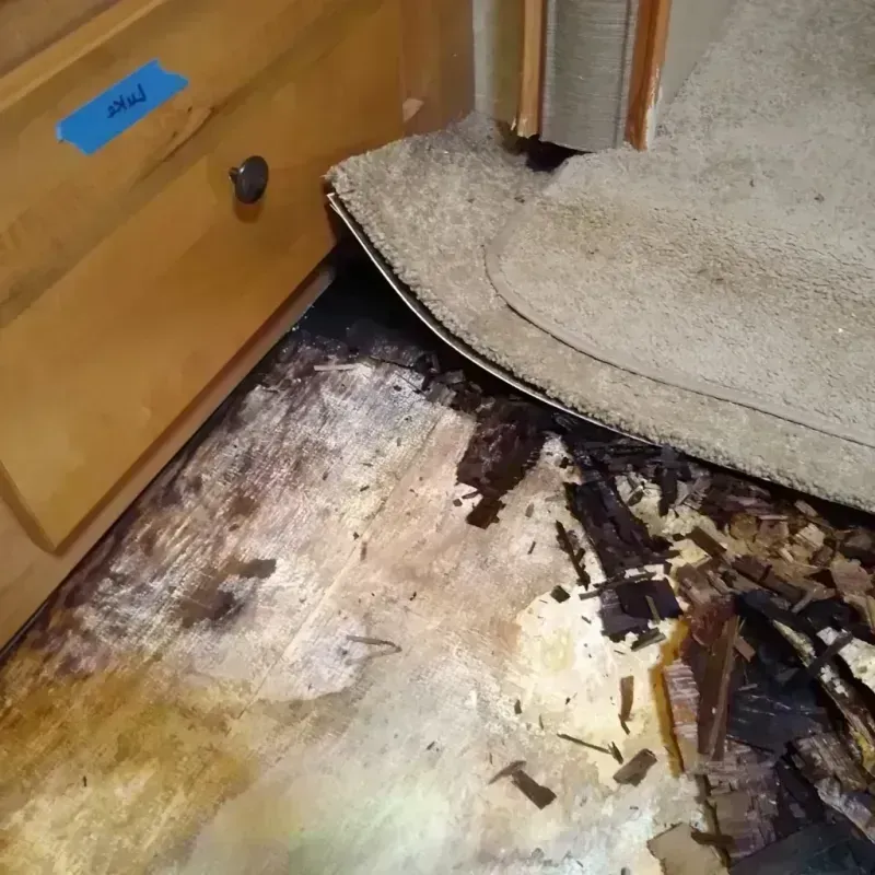 Wood Floor Water Damage in Enetai, WA